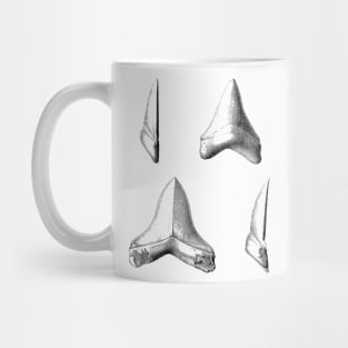 Shark Teeth | Great White Megalodon Fossils Mug